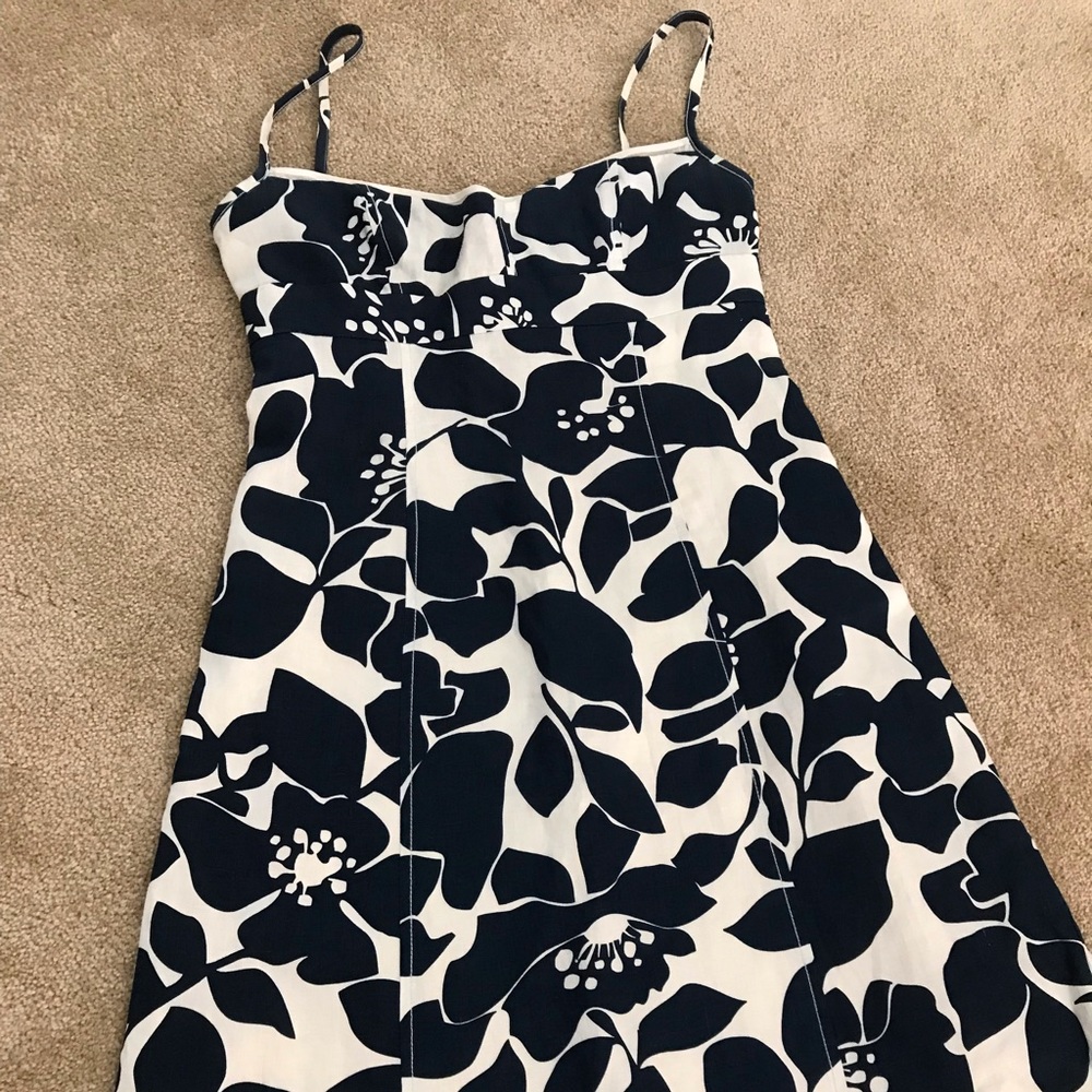 J Crew dress